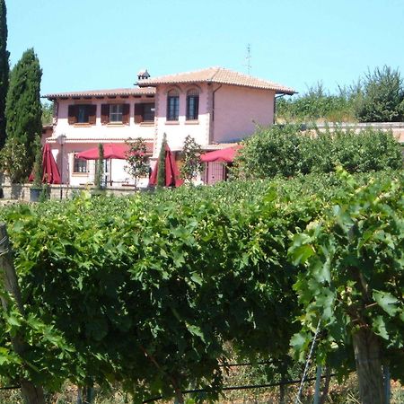 Azienda Agricola Sinisi Cerveteri Esterno foto