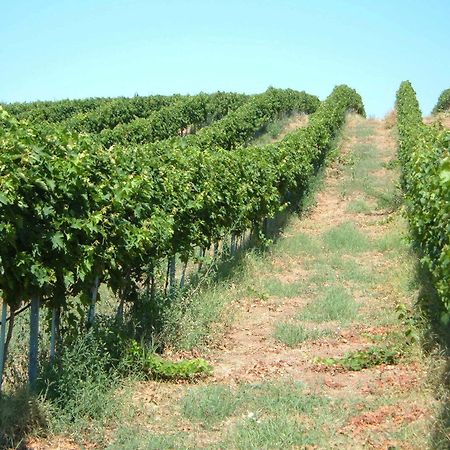Azienda Agricola Sinisi Cerveteri Esterno foto
