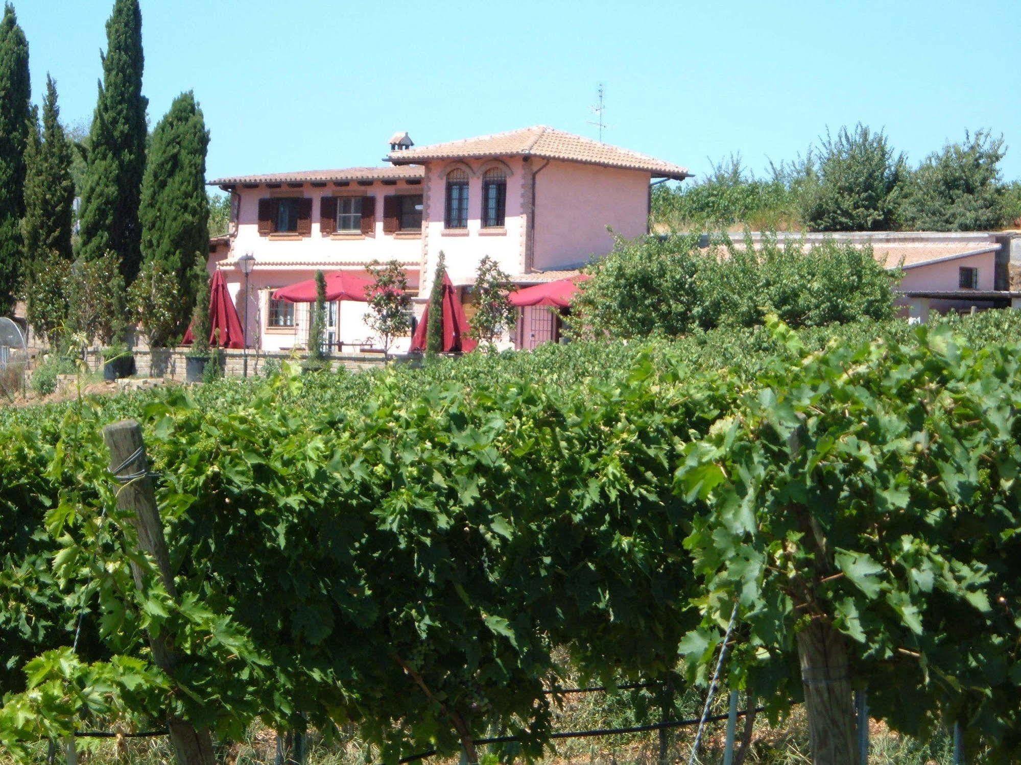 Azienda Agricola Sinisi Cerveteri Esterno foto